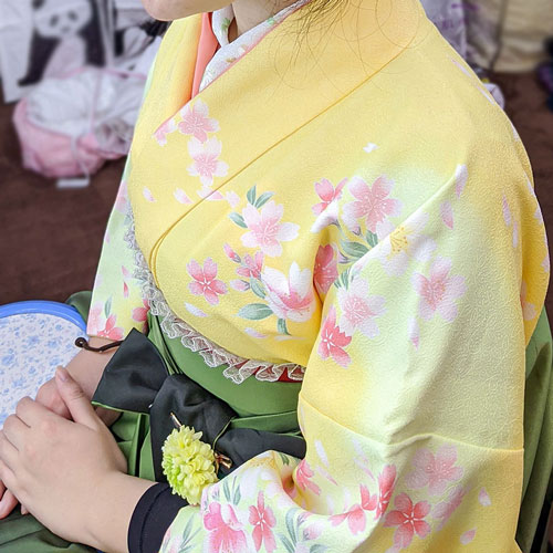 黄色袴レンタル～黄色着物(小振袖)×緑袴着付け写真 | 着物レンタル専門