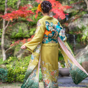 成人式振袖黄色蝶々～前撮り写真 | 着物レンタルなら尼崎武庫之荘 